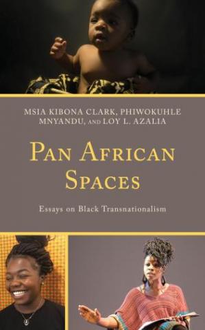 Book Pan African Spaces Essays on Black Transnationalism