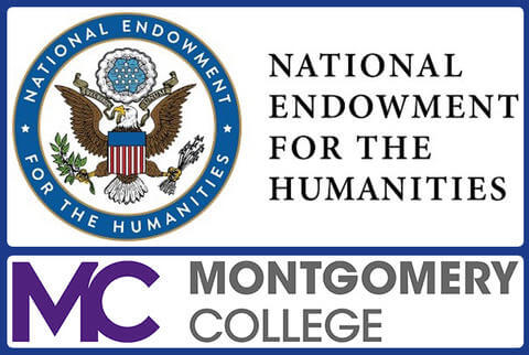 Cannes lions case studies image