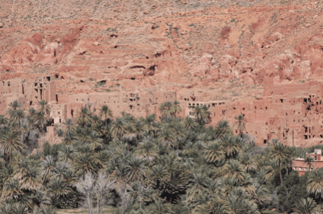 Gold Road- Oasis of Erfoud, Morocco